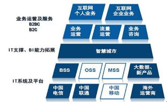 天源迪科（300047）更新研究報告 聚焦政企與運營商雙輪驅動，深化軟件外包服務布局